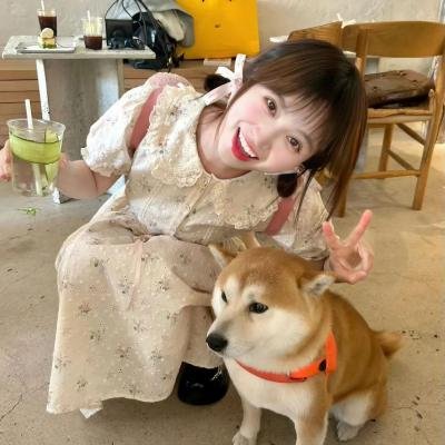 恐龙凶面目